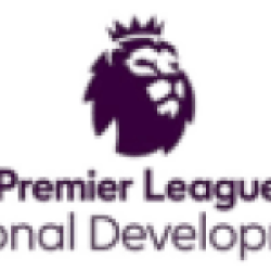 Professional Development League