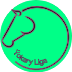Ýokary Liga Ýokary Liga