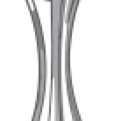 FIFA Intercontinental Cup