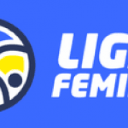 Liga 1 Feminin