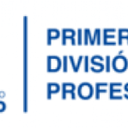 Primera Division - Apertura