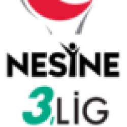 3. Lig - Group 1