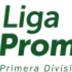 Primera Division Primera Division