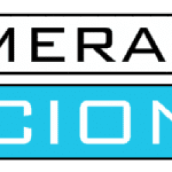 Primera Nacional Primera Nacional