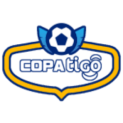 Copa de la División Profesional