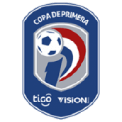 Division Profesional - Apertura