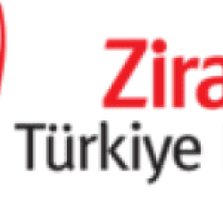 Türkiye Kupası