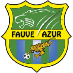 Jeunes Fauves