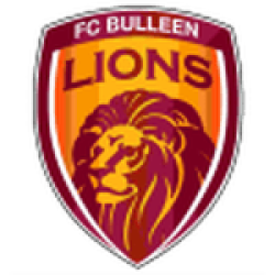 Bulleen Lions