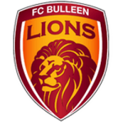 Bulleen Lions