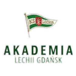 Akademia Piłkarska LG W