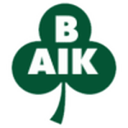 Bergnäsets