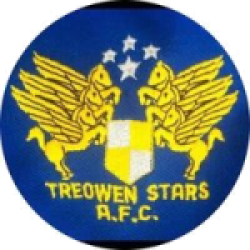 Treowen Stars