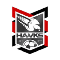 Holland Park Hawks