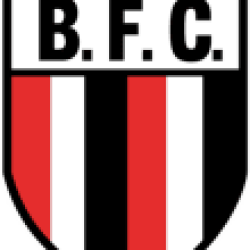 Botafogo SP B