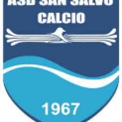 Salvo