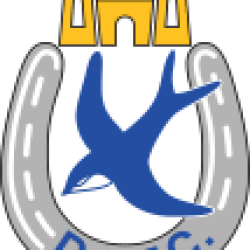 Dungannon Swifts