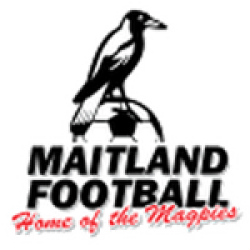 Maitland