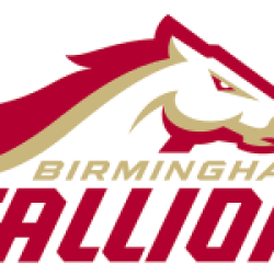 Stallion W