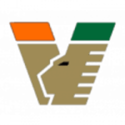 Venezia U19