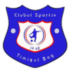 Timişul Şag