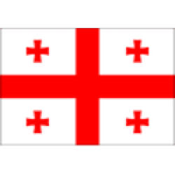 Georgia U17