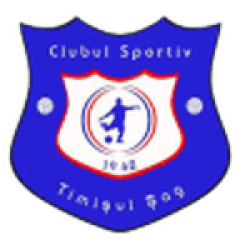 Timişul Şag