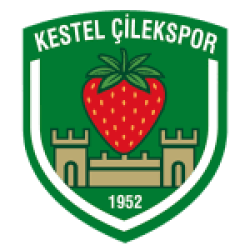 Kestel Çilek