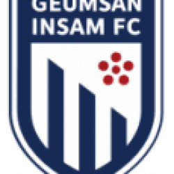 Geumsan Insam