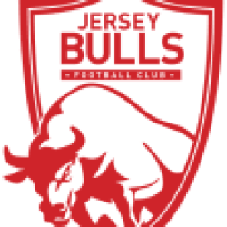 Jersey Bulls