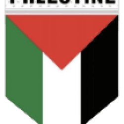 Palestine U20 W