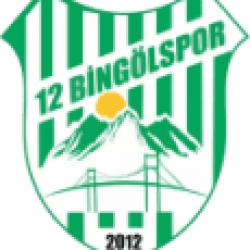 12 Bingölspor