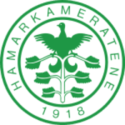 HamKam U19