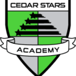 Cedar Stars