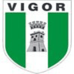 Vigor Lamezia