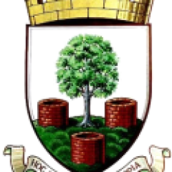 Wells City
