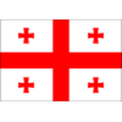 Georgia U17