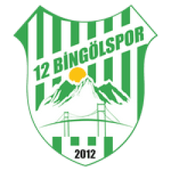 12 Bingölspor