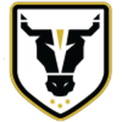 Bulls Academy