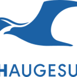 Haugesund W