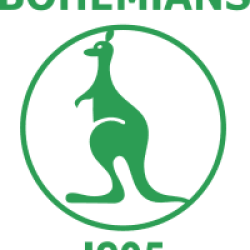 Bohemians 1905 II