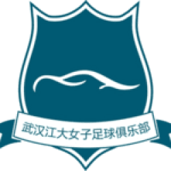 Wuhan Jiangda W